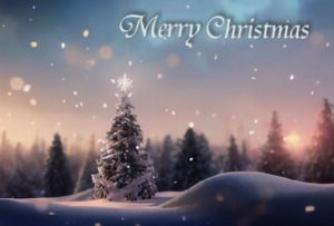クリスマスカード樹氷とツリー