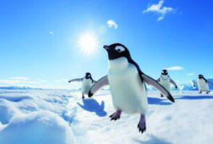 フライングペンギン