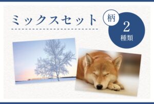 2種類ミックスセット