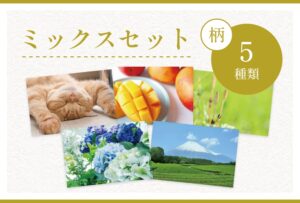 5種類ミックスセット