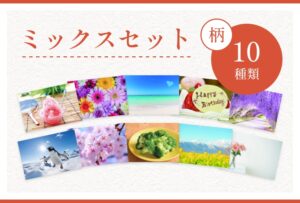 10種類ミックスセット